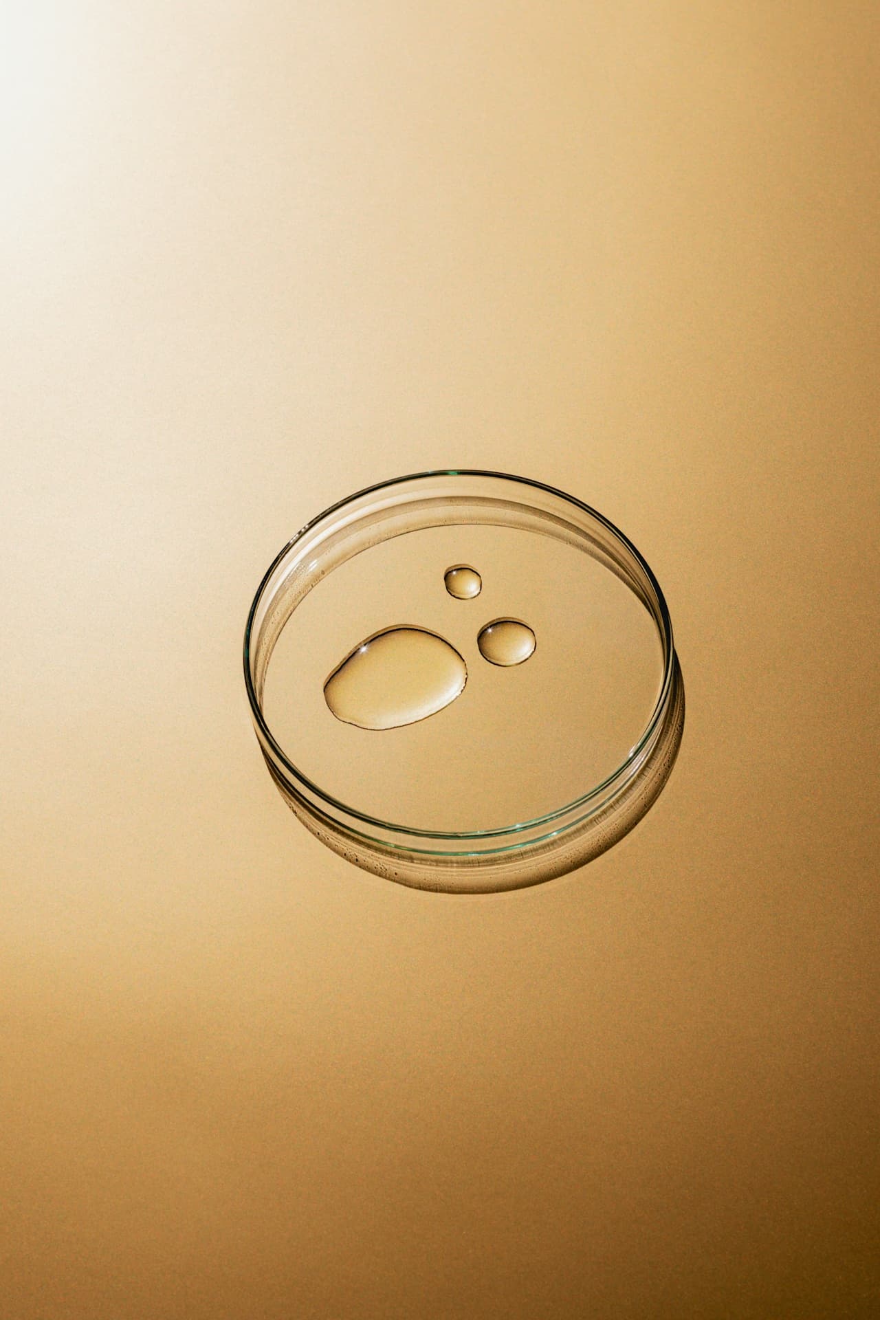 A petri dish with droplets in clean light